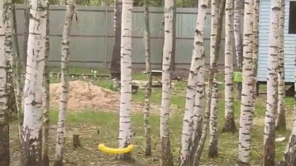 Дача, Дмитровский район, Надеждино, 8 соток