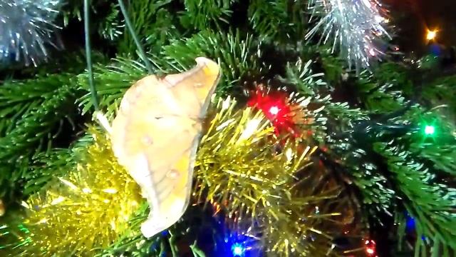 Merry christmas! 25 dec 2016 смотреть онлайн