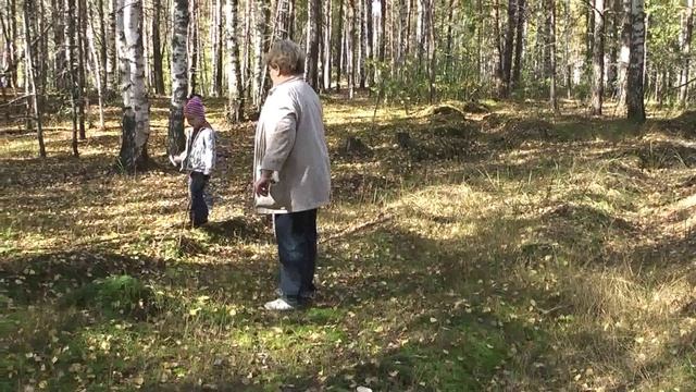 это-подберезовик, а это красивый-мухомор смотреть онлайн