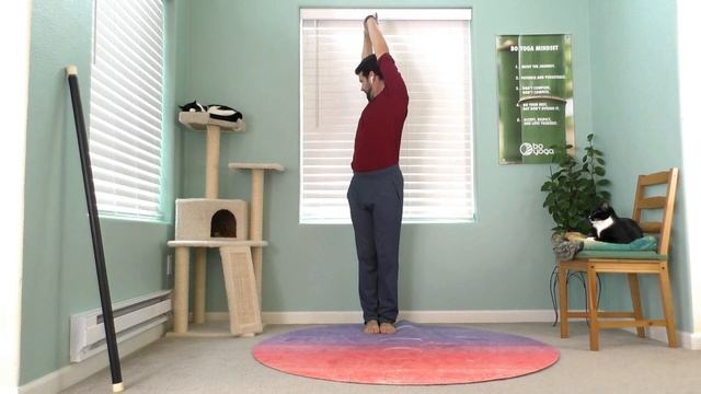 Spiral Shapes Energy Spirals 15 Min Spiral Qi Gong смотреть онлайн