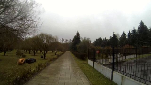 Стедикам и палка смотреть онлайн