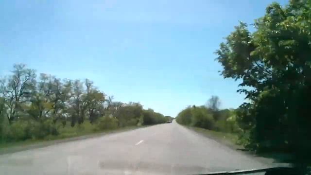 Поездка на Волнухино смотреть онлайн