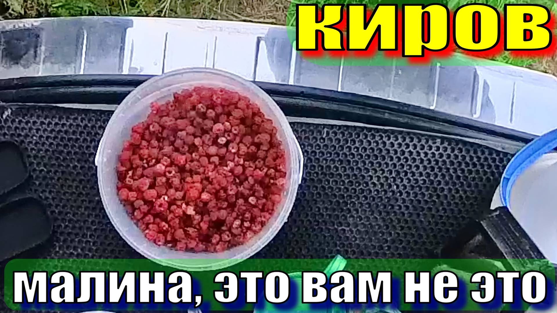 Дикая малина смотреть онлайн