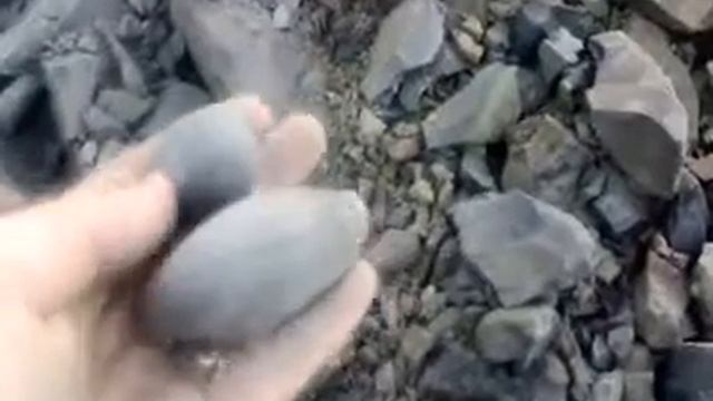 increibles hallazgos 70 en bizkaia santi r.a смотреть онлайн