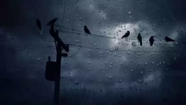 Take Me In Your Arms (Arabic Song Remix) смотреть онлайн