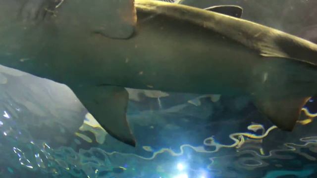 MVI 7393 смотреть онлайн