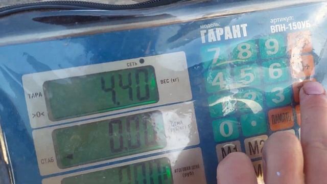 17 мая 2023 г. смотреть онлайн