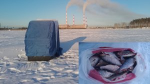 рыбалка 25.01.25, Рефтинское водохранилище