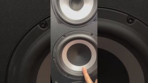 The Best Tower Speakers! Polk Audio Monitor XT70 Large Tower Speaker