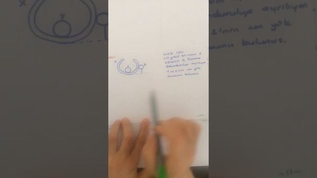 FİZİK Elektrostatik 2 смотреть онлайн