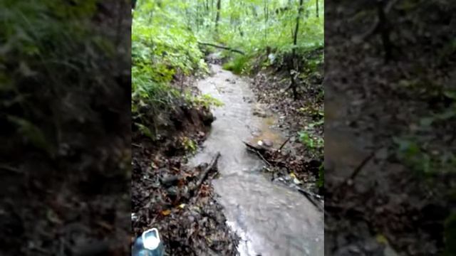 ПОИСК ЗОЛОТА. КЛАДОИСКАТЕЛЬСТВА.ФРИ ДАЙВИНГ.