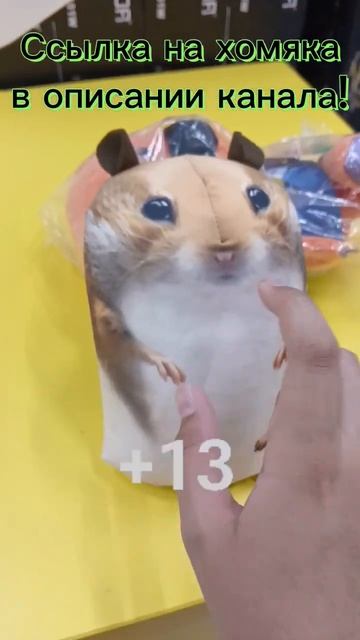 27 июня Азбука морзе #hamsterkombat смотреть онлайн