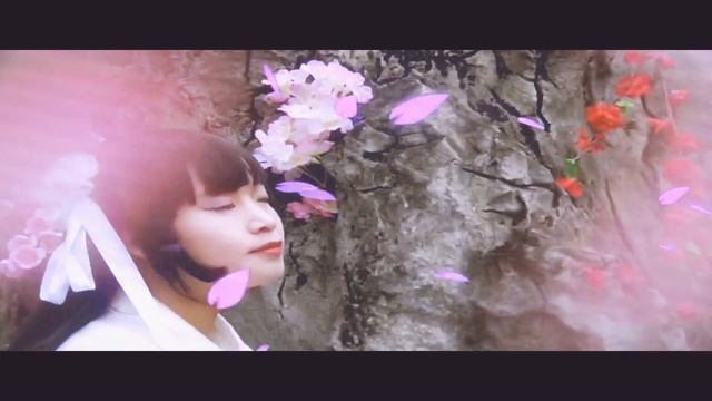 【古风cos合集】【风花雪月】 смотреть онлайн