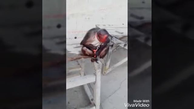 Наша Маруся в Соль-илецке смотреть онлайн