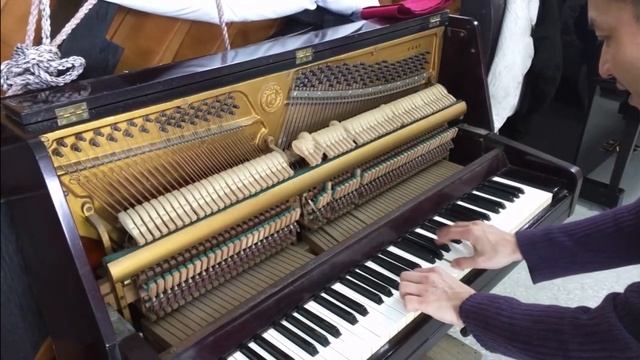 Eterna Upright Piano With 64 Keys.