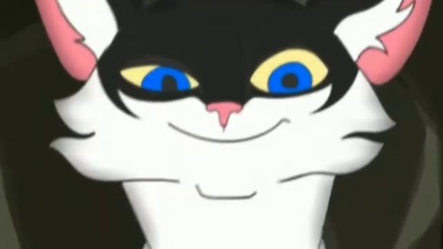 Коты-воители клип/Темнохвост/Не причёсывай меня/ смотреть онлайн