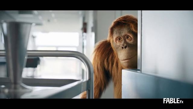 FABLEfx Showreel 2019 | International Film Production Directors Representation Company | Lemonade