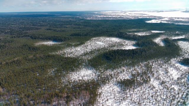 Тайга бескрайняя - ты великолепна! Архангельск 02.04.2023. смотреть онлайн