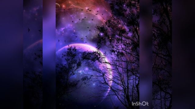 Фиолетовый(RASA) смотреть онлайн
