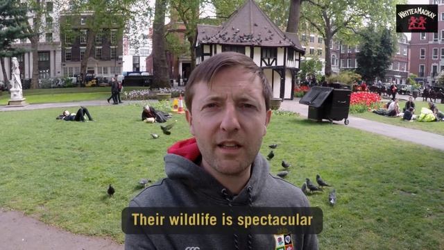 Andrew Maxwell Smooths Things Over with the English | Whyte & Mackay смотреть онлайн