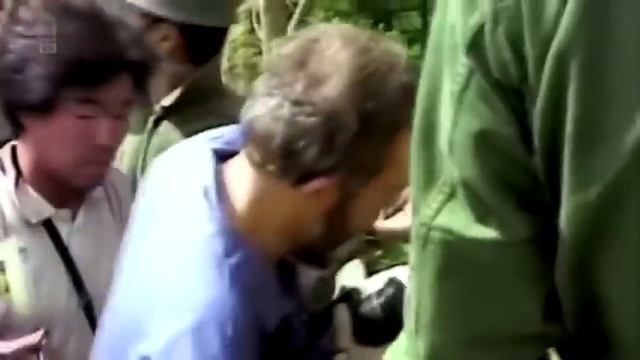 Seconds From Disaster | Japan Air Flight 123 | Air Crash Investigation | Nat Geo смотреть онлайн