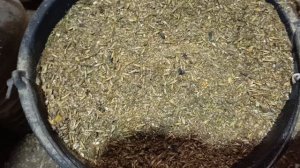 Расклёв яиц