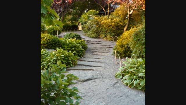 Ships in Full Sail / Ned Coleman's / Calliope House (An Irish Evening Benefit Concert Live) смотреть онлайн