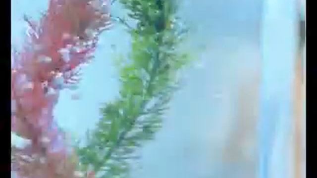 Unforgettable Recipes