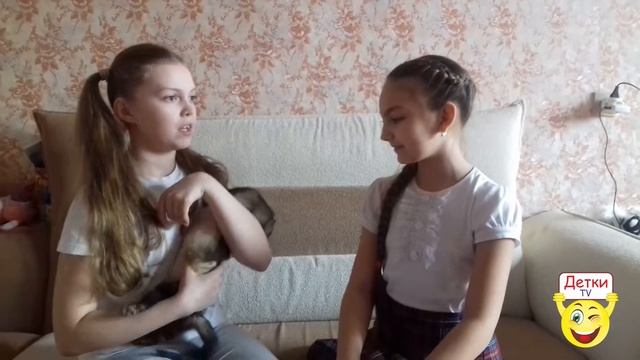 Удивительные питомцы 1 смотреть онлайн