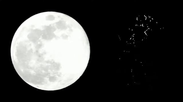 LunAero: Just Birds смотреть онлайн