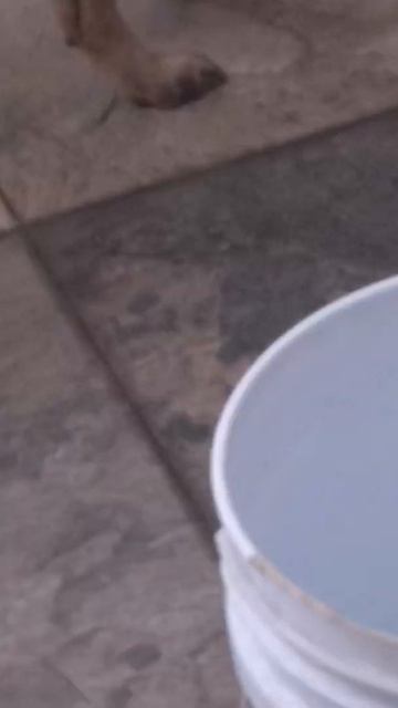 la payasita de kitana no sabe comer tortilla смотреть онлайн