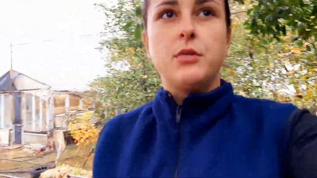 В ожидании опороса// наверное все будет сложно смотреть онлайн