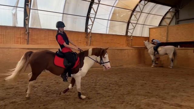 Выездковая тренировка на Драконе// Новый вальтрап?? 💗💗🐴 смотреть онлайн