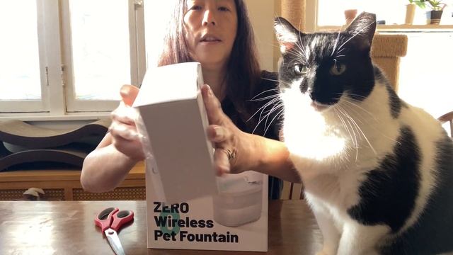 UAH Pet Fountain and Water Filters смотреть онлайн