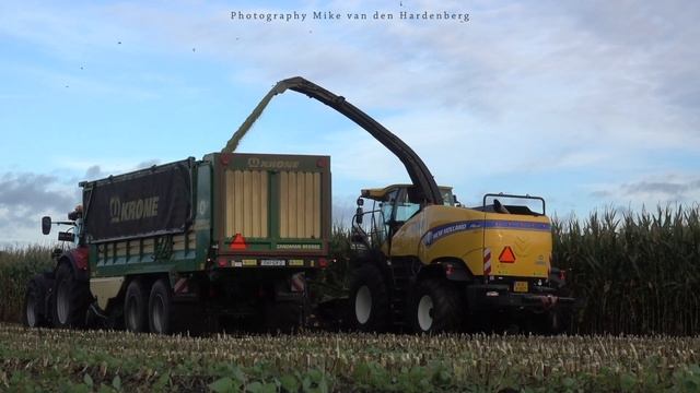 Mais XXL 2020 | Case IH 1455 XL - Zandman Beerze. смотреть онлайн