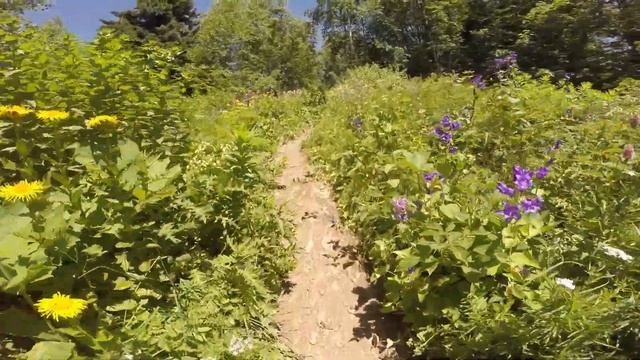 3 day hike in the Caucasus смотреть онлайн