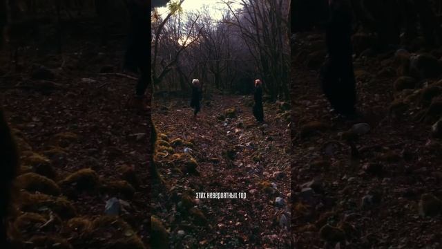 FOREST SPIRAL DANCE | YANA TERRE смотреть онлайн