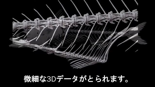 サバ模型制作記録 смотреть онлайн