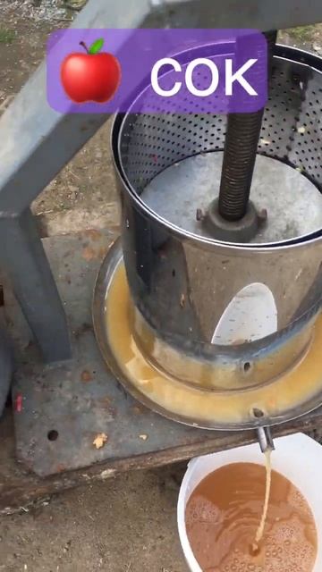 Яблочный Сок 🧃 #shorts #S-Лилей смотреть онлайн