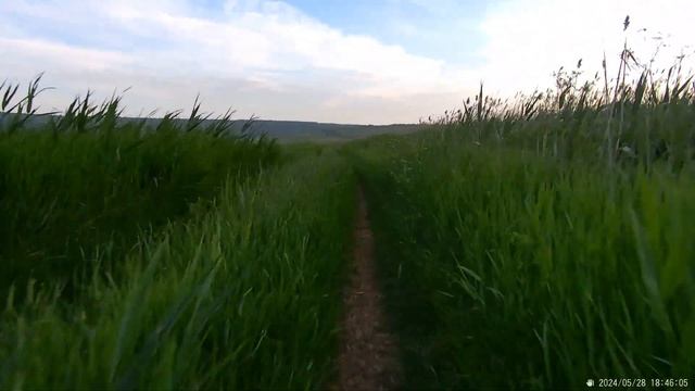 Воронов, гравийные приключения 4 смотреть онлайн