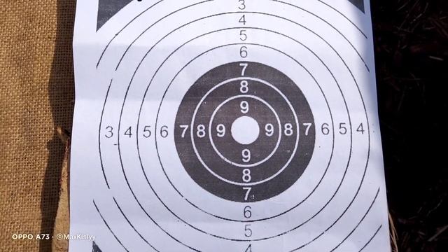 Чайка 11 и ПСРМ 2-55 Шершнями 0,5 на 20м смотреть онлайн