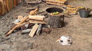 Копчёные Фрукты по Старому Способу на Зиму.