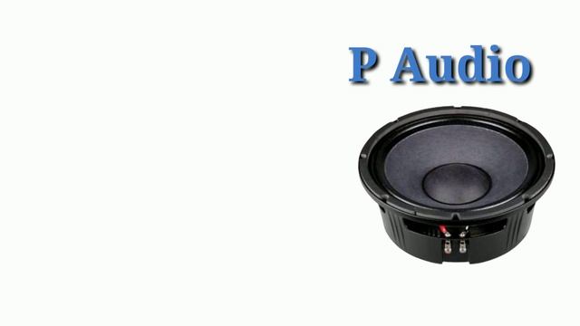 P Audio All Speakers Price || Details and specifications || Top 5 P Audio Speakers смотреть онлайн