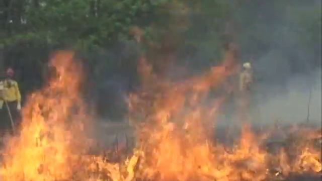 Wildfire: Delaware Style смотреть онлайн