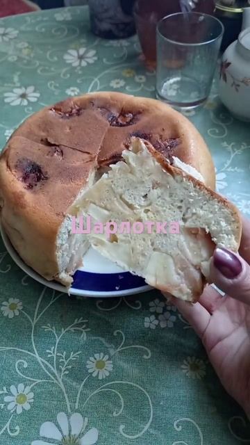 Шарлотка простая. #cooking #рек #готовка #рецепт #cookingfood #еда #вкусно #шарлоткарецепт #shorts смотреть онлайн