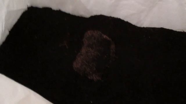 В чём разводить червей. Биг-Бег Вам в помощь! смотреть онлайн