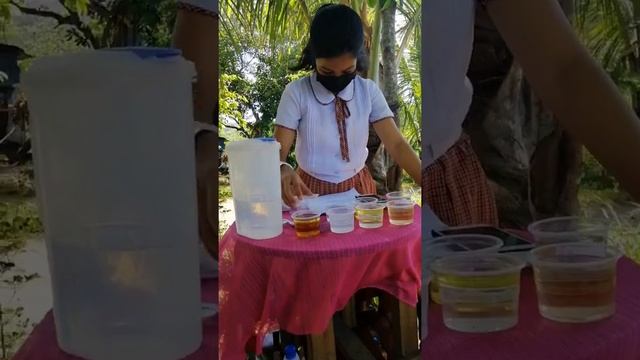 Polarity Experiment of Princess Cyrill R. Baste смотреть онлайн