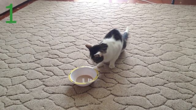 №1 Nesquik смотреть онлайн