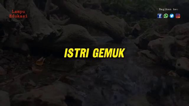 VIDEO INI HANYA UNTUK SUAMI ISTRI !! 5 Kelebihan Istri Gemuk Saat JIMAK смотреть онлайн