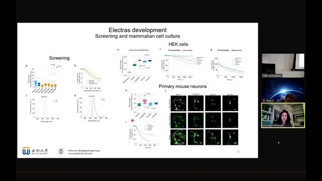 Multiphoton Workshop 2022 Dual-expression system for BFPs optimization Stavrini Papadaki смотреть онлайн